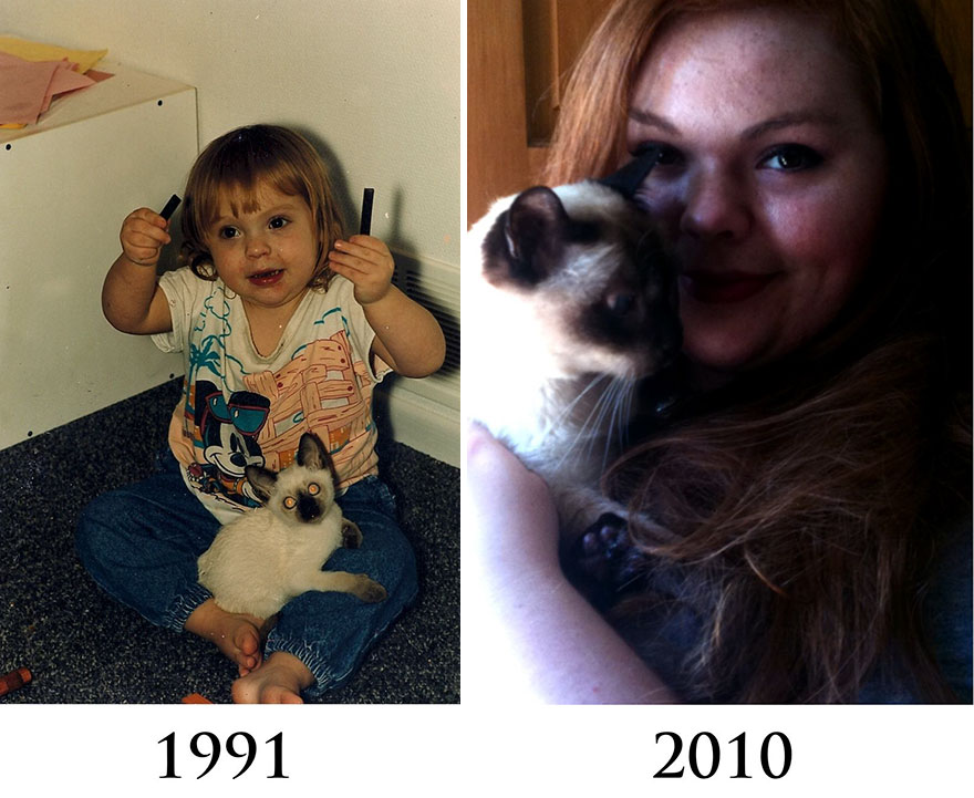 кот держал за руку своего владельца, кот эндрю держал за руку владельца