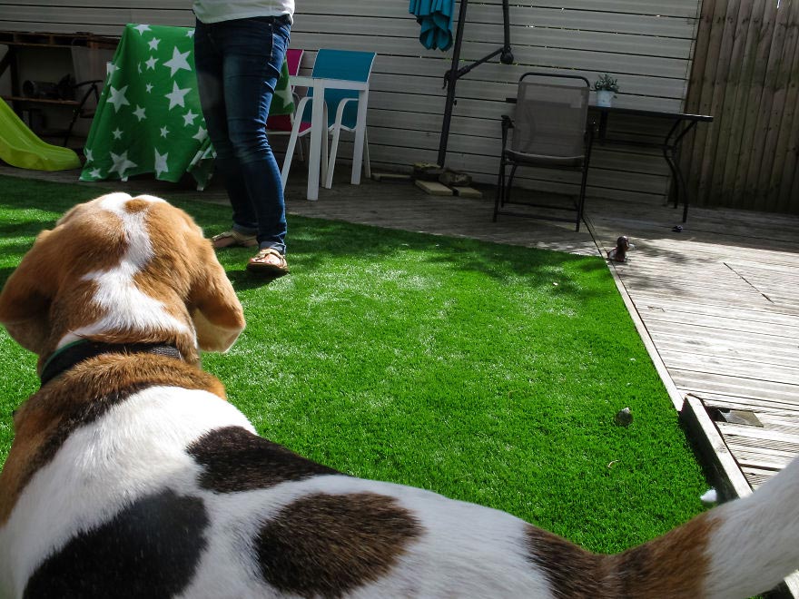 19-месячный фотограф, вручил фотоаппарат 19-месячному сыну, Мир глазами полуторагодовалого ребёнка, 1,5-годовалый фотограф