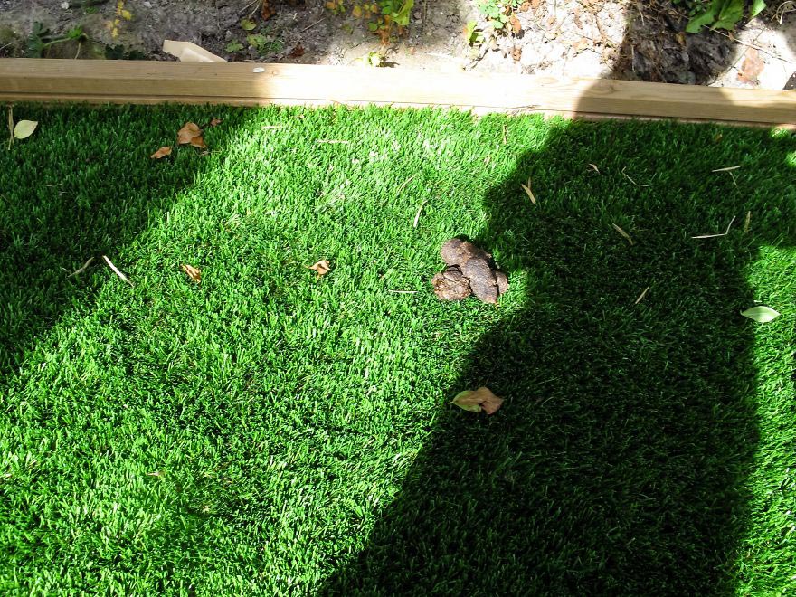 19-месячный фотограф, вручил фотоаппарат 19-месячному сыну, Мир глазами полуторагодовалого ребёнка, 1,5-годовалый фотограф