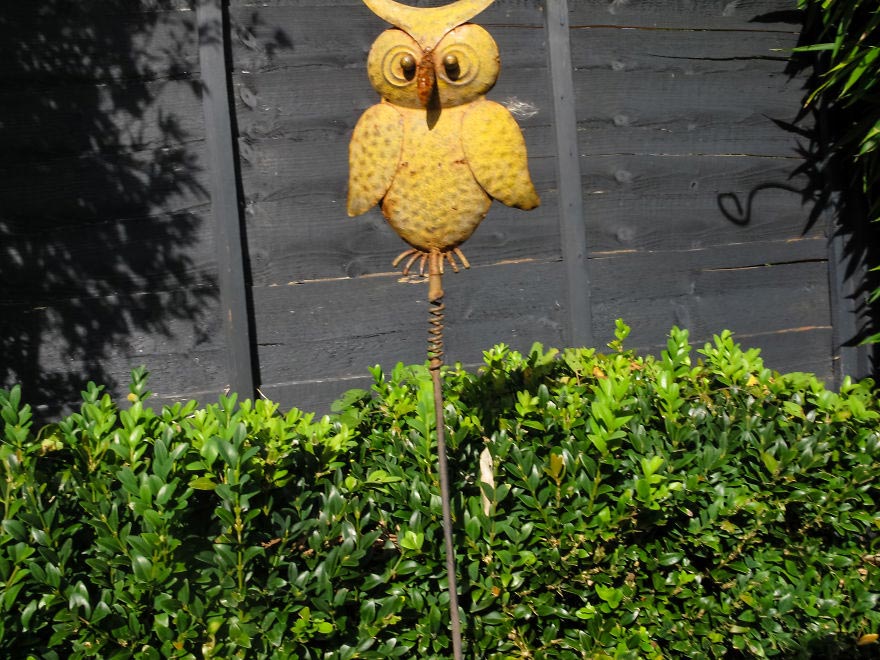 19-месячный фотограф, вручил фотоаппарат 19-месячному сыну, Мир глазами полуторагодовалого ребёнка, 1,5-годовалый фотограф