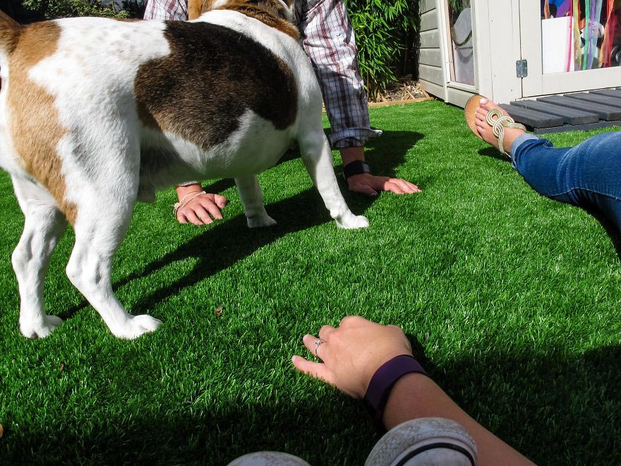 19-месячный фотограф, вручил фотоаппарат 19-месячному сыну, Мир глазами полуторагодовалого ребёнка, 1,5-годовалый фотограф