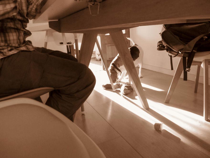 19-месячный фотограф, вручил фотоаппарат 19-месячному сыну, Мир глазами полуторагодовалого ребёнка, 1,5-годовалый фотограф