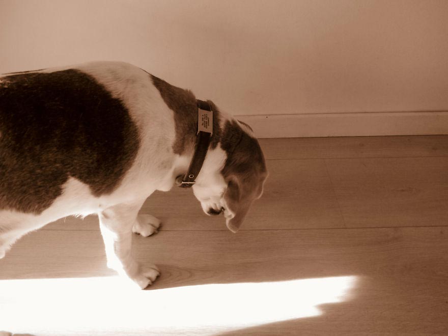 19-месячный фотограф, вручил фотоаппарат 19-месячному сыну, Мир глазами полуторагодовалого ребёнка, 1,5-годовалый фотограф