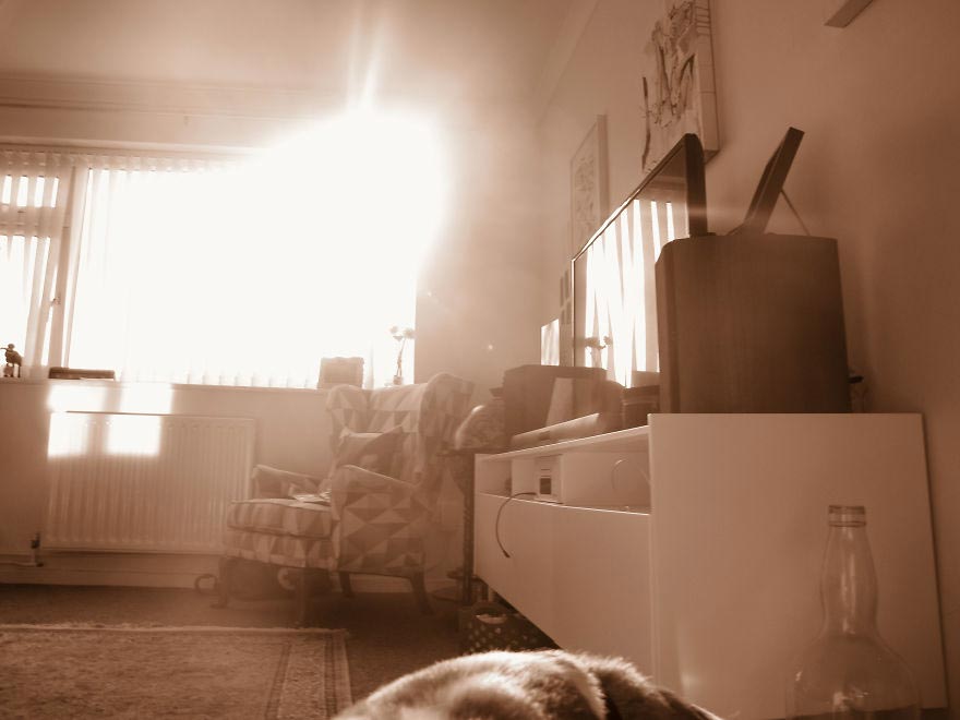 19-месячный фотограф, вручил фотоаппарат 19-месячному сыну, Мир глазами полуторагодовалого ребёнка, 1,5-годовалый фотограф