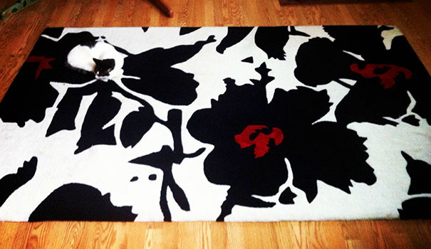 спрятавшиеся коты, коты мастера масикровки