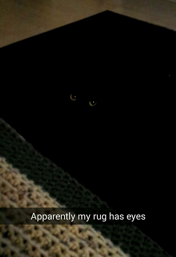 спрятавшиеся коты, коты мастера масикровки