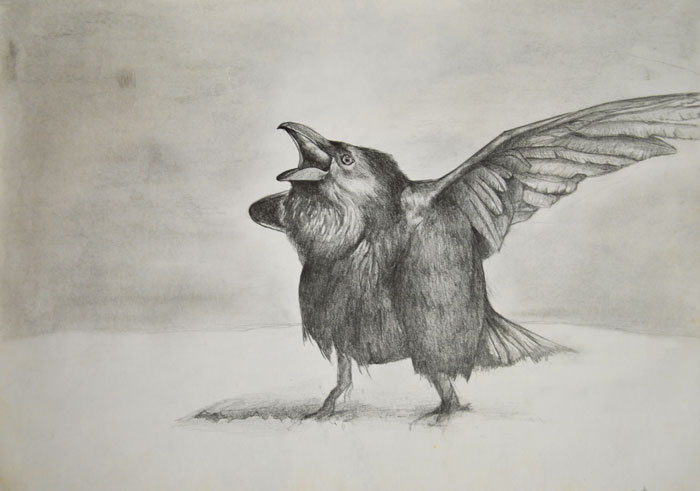 Парень показал, как развивались его художественные навыки с 2-х до 28 лет Парень показал как развивались его художественные навыки, художественный прогресс