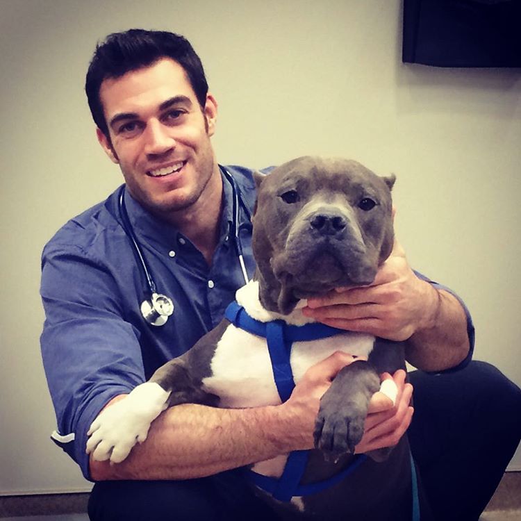 горячий ветеринар, красивый ветеринар