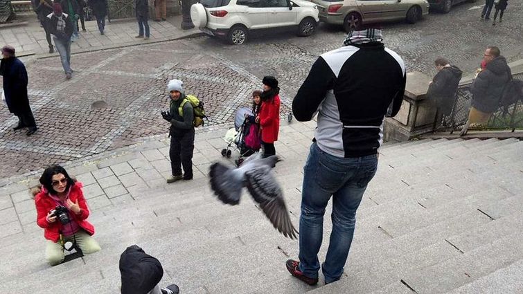 Причудливые мутанты и прочие забавные глюки, получившиеся благодаря Google Maps смешные глюки в Google Maps, смешные глюки в Картах Google