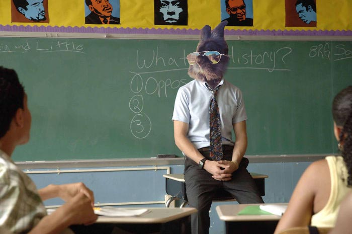 кролик в очках, крутой кролик, кролик битва фотошоперов