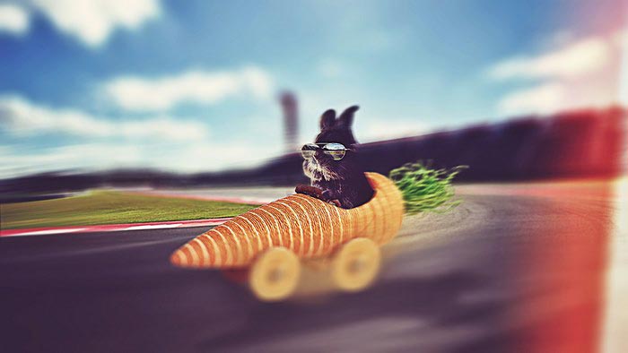 кролик в очках, крутой кролик, кролик битва фотошоперов