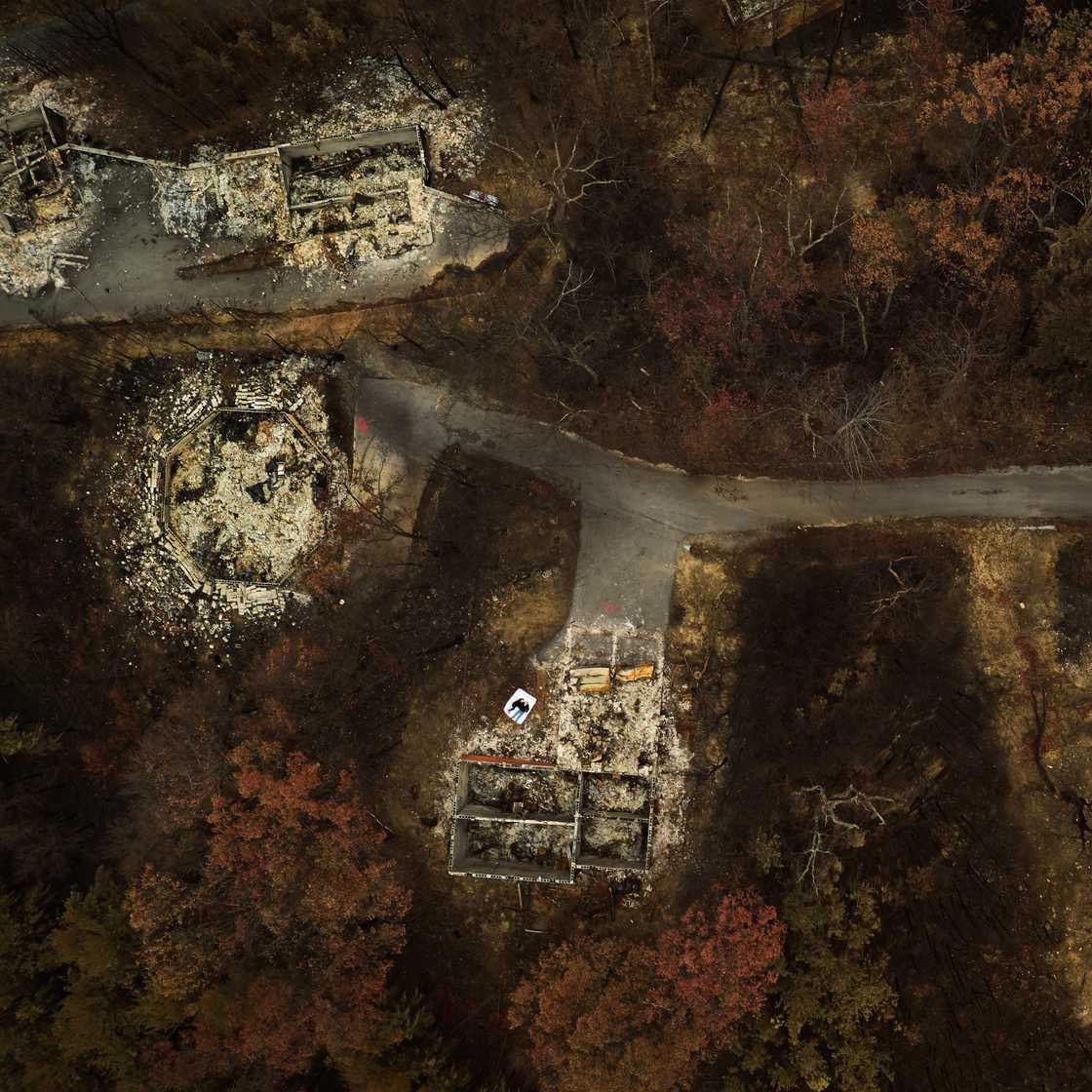 Джереми Кауэрт, Jeremy Cowart, Voices of Gatlinburg, Голоса Гатлинбурга, жертвы лесных пожаров