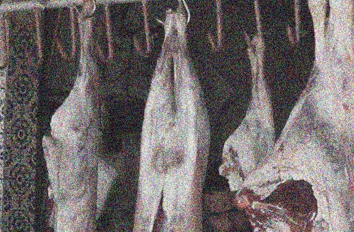 похищение трупов, похищение трупов в средневековье 