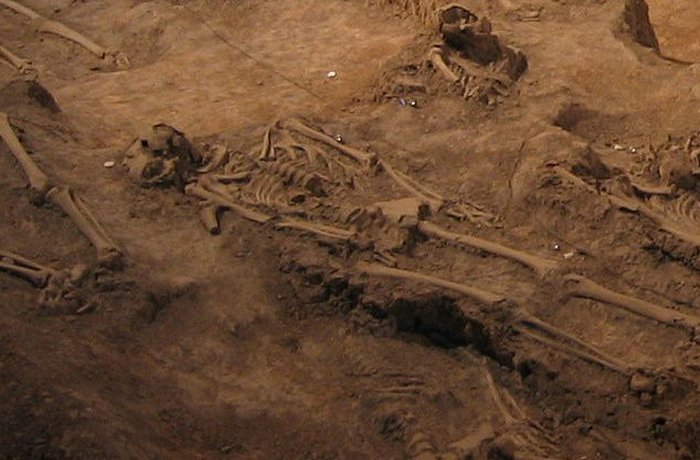 похищение трупов, похищение трупов в средневековье 