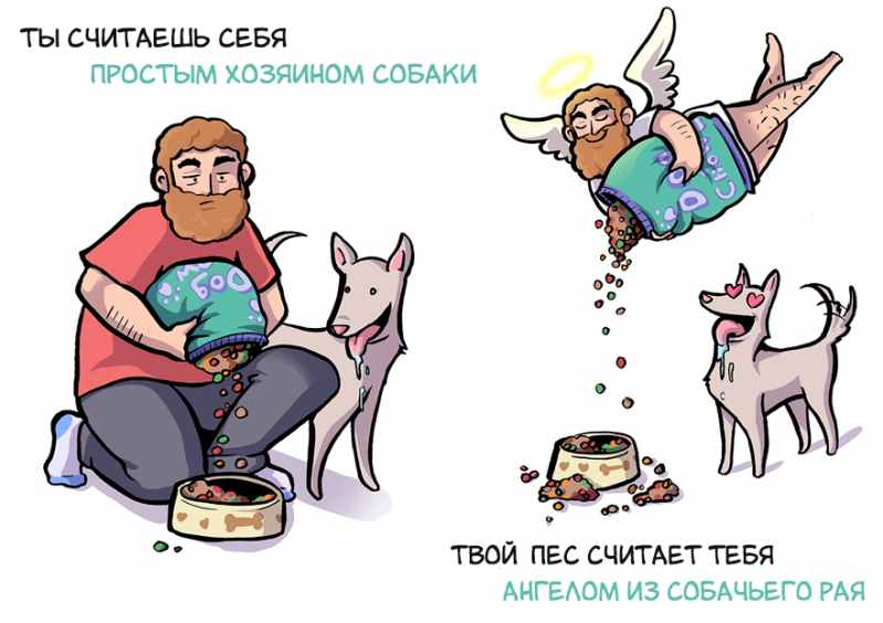 Как вы видите себя, и как ваша собака видит вас как ваша собака видит вас, Келли Энджел, Kelly Angel