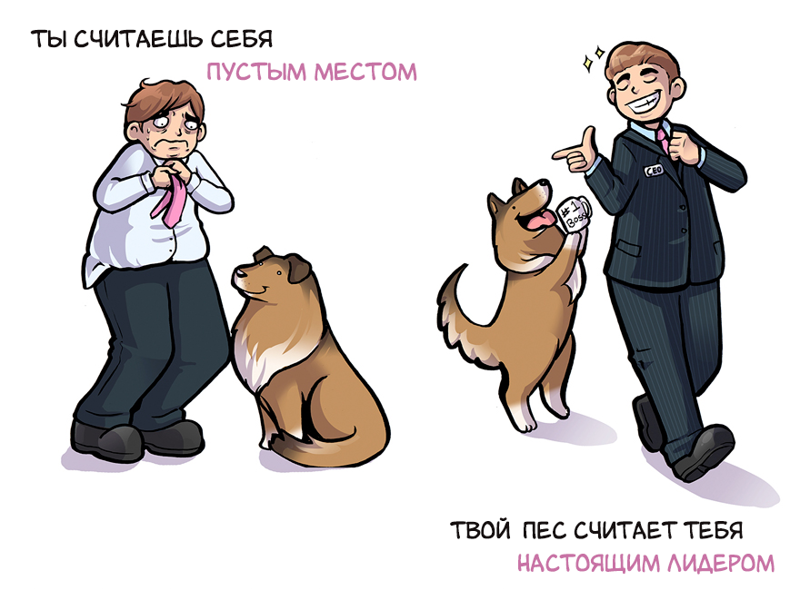 Как вы видите себя, и как ваша собака видит вас как ваша собака видит вас, Келли Энджел, Kelly Angel