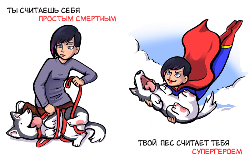 Как вы видите себя, и как ваша собака видит вас как ваша собака видит вас, Келли Энджел, Kelly Angel