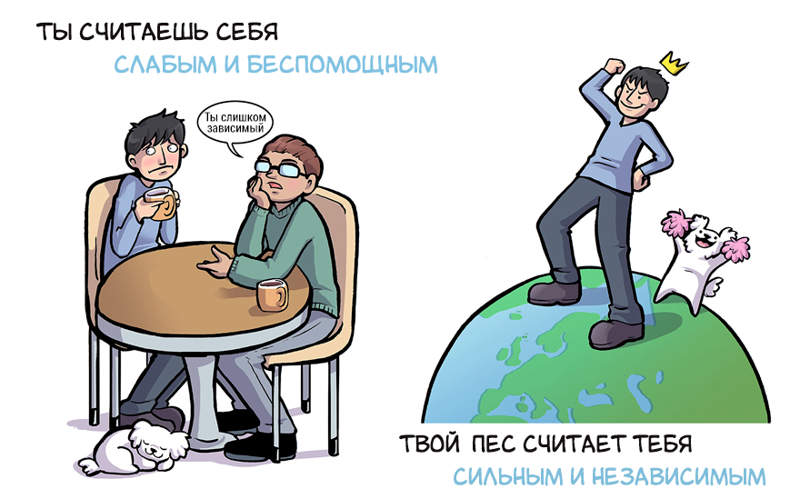 Как вы видите себя, и как ваша собака видит вас как ваша собака видит вас, Келли Энджел, Kelly Angel