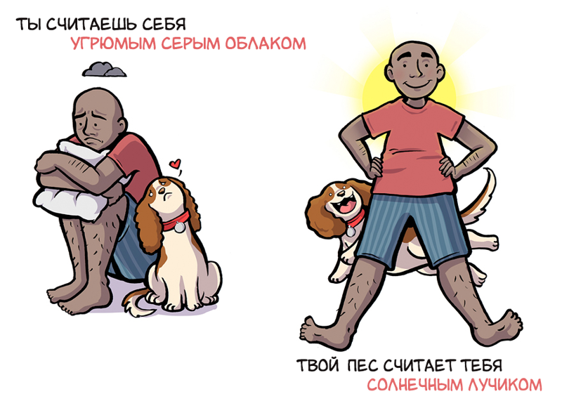 Как вы видите себя, и как ваша собака видит вас как ваша собака видит вас, Келли Энджел, Kelly Angel