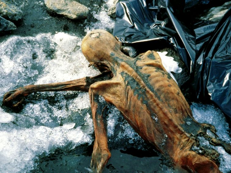 познавательные факты, спорим вы не знали