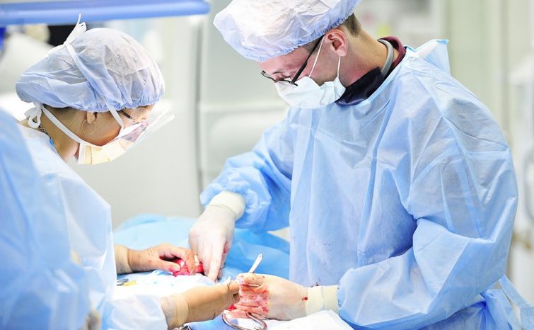 познавательные факты, спорим вы не знали