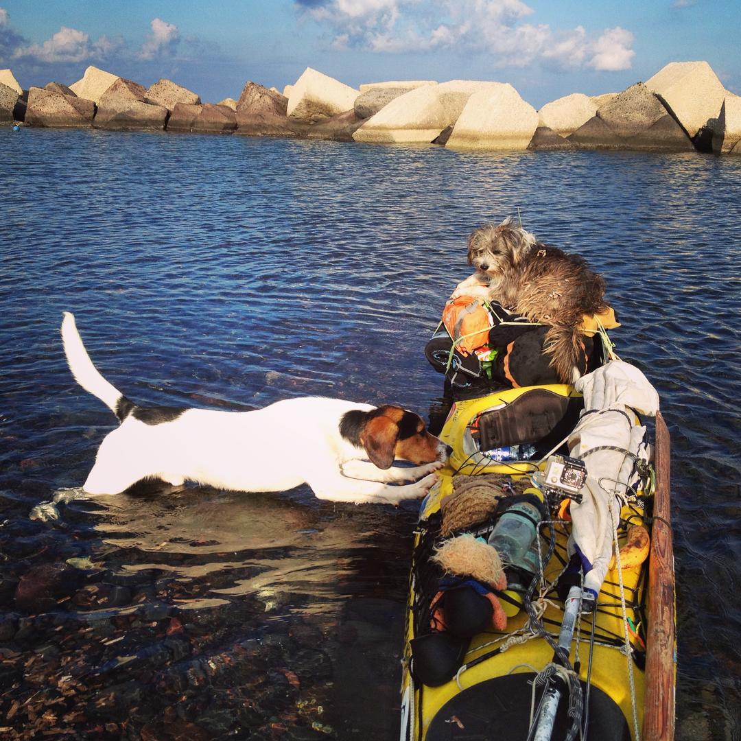 Парень бросил работу и уже 3 года путешествует на байдарке, парень путешествует на байдарке с собакой, Серджи Базоли  и Нирвана 