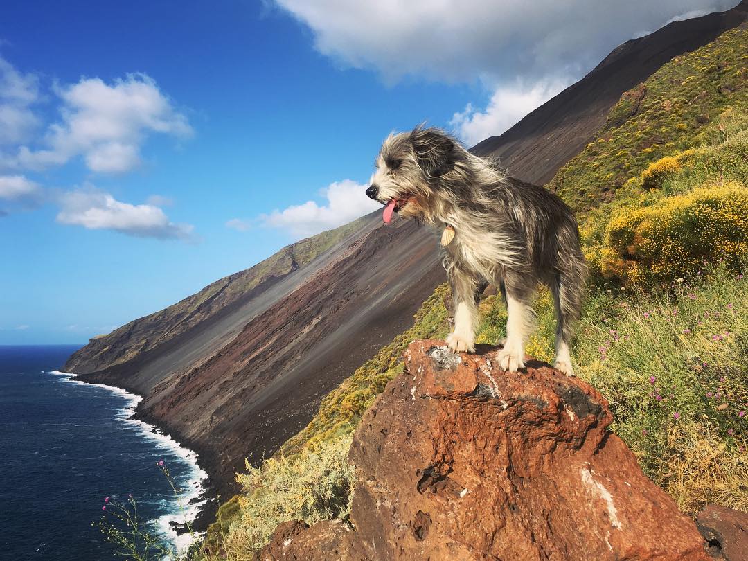 Парень бросил работу и уже 3 года путешествует на байдарке, парень путешествует на байдарке с собакой, Серджи Базоли  и Нирвана 
