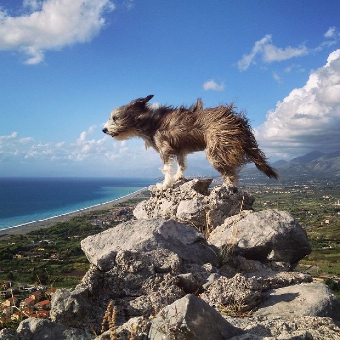 Парень бросил работу и уже 3 года путешествует на байдарке, парень путешествует на байдарке с собакой, Серджи Базоли  и Нирвана 