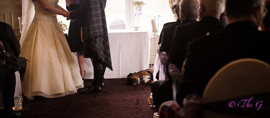 Регина Уилли,  9-летний свадебный фотограф