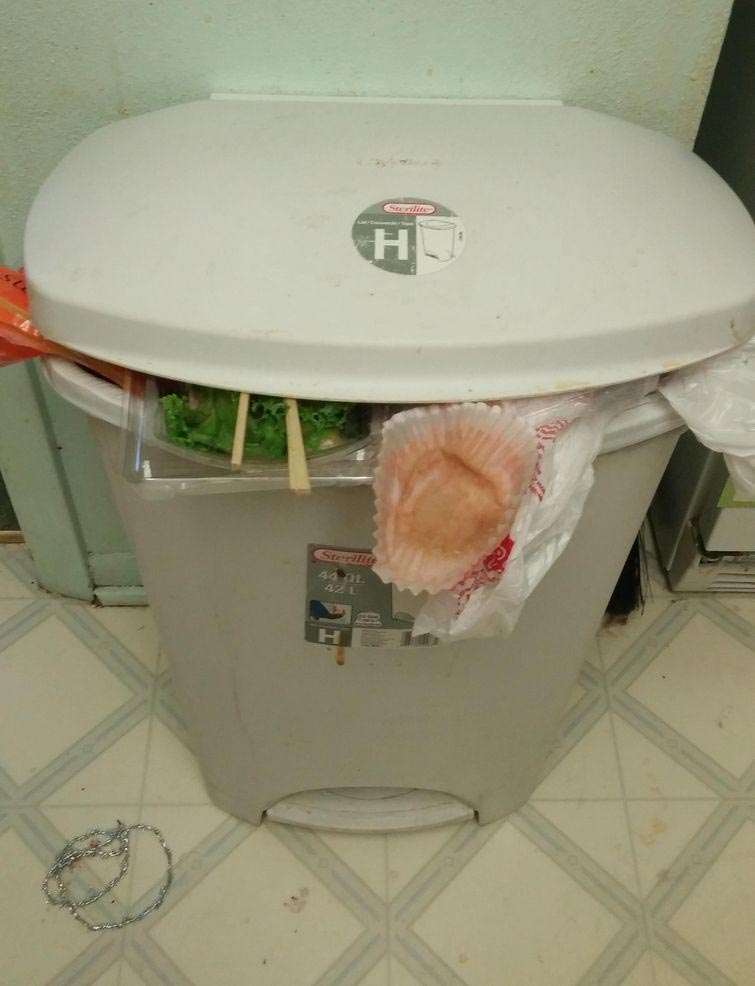 заставила вынести мусор при помощи интернета, мама нашла способ заставить вынести мусор