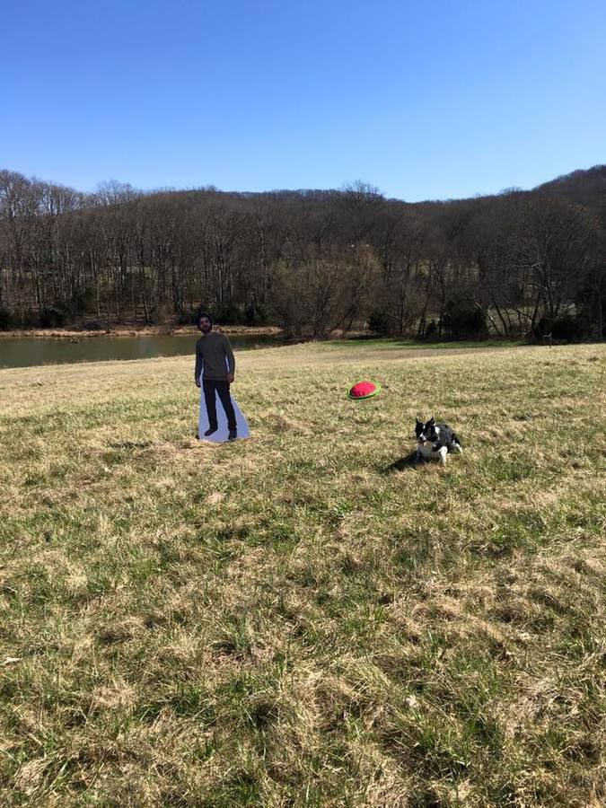 Когда этот парень послал маме свою картонную копию, она нашла ей забавное применение послал маме свою картонную копию, мама фотографии с картонной копией сына