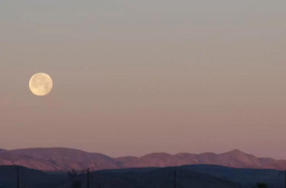 8 потрясных тематических отелей в стиле фильмов, получивших Оскар в 2016 году тематические отели фильмы Оскар, отели в стиле фильмов Оскар, отели в стиле оскароносных фильмов