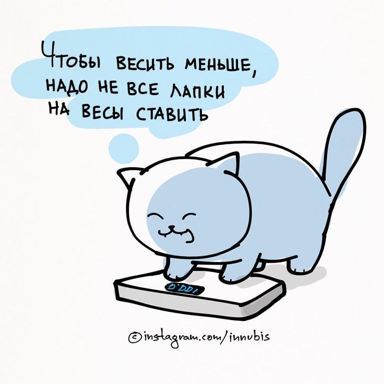 комикаки, Кирилл Анастасин, комиксы о жизни