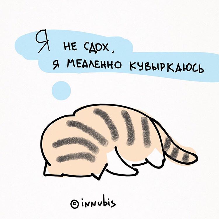 комикаки, Кирилл Анастасин, комиксы о жизни