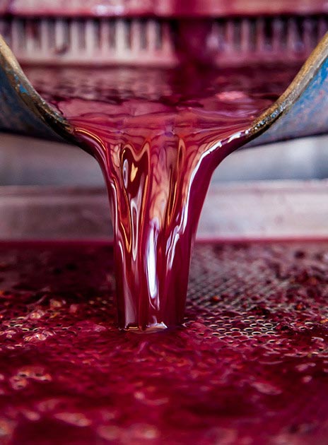 Food Photographer 2016, фотографии с Food Photographer 2016, победители Food Photographer 2016