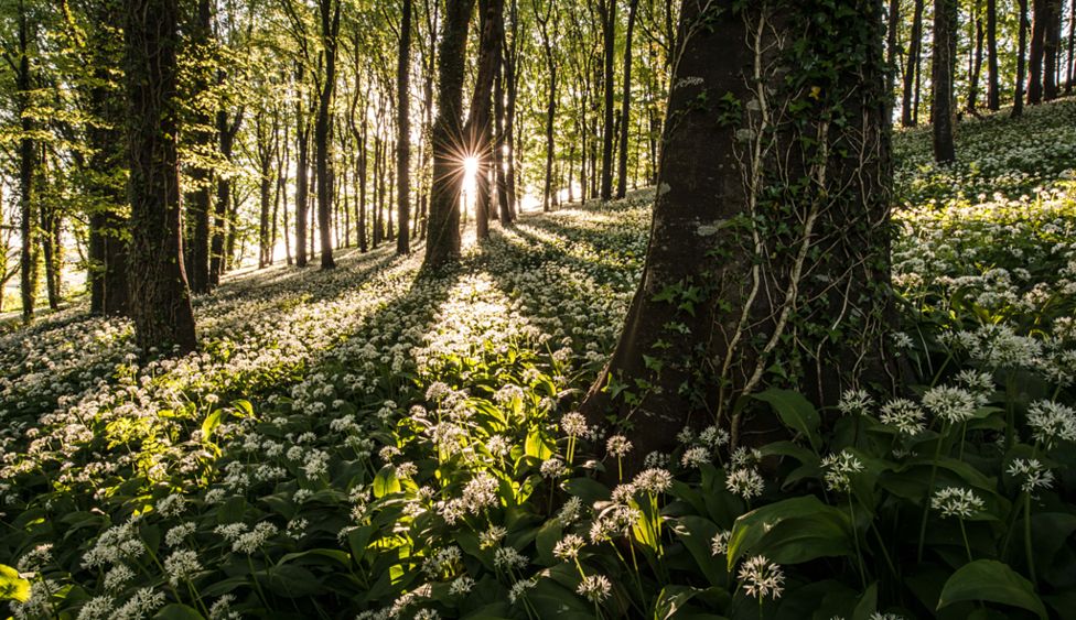 Food Photographer 2016, фотографии с Food Photographer 2016, победители Food Photographer 2016