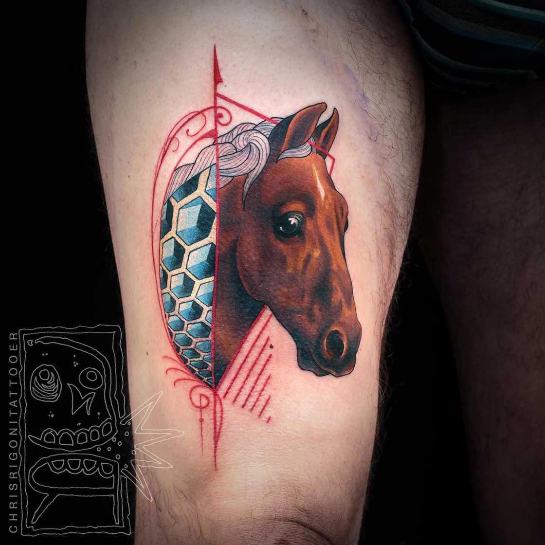 Ультраяркие татуировки, удивляющие не только своими идеями, но и исполнением Крис Ригони, Chris Rigoni