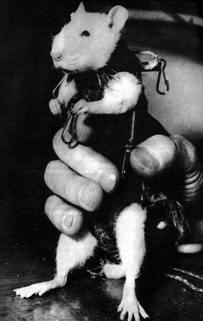 Редкие кадры исторических событий, а также архивные снимки великих и знаменитых. Часть 59 Исторические кадры, редкие архивные фотографии, исторические события, редкие фото звёзд