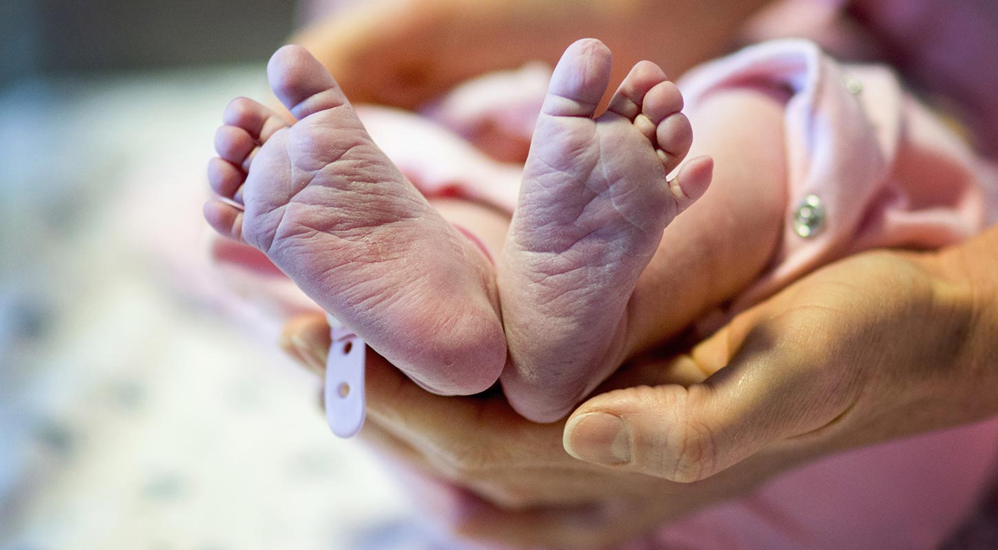 факты о человеке, познавательные факты о человеческом теле