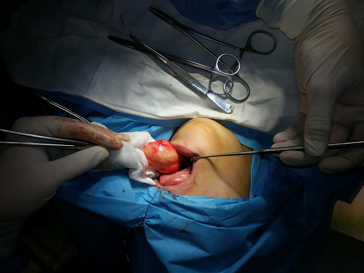 факты о человеке, познавательные факты о человеческом теле