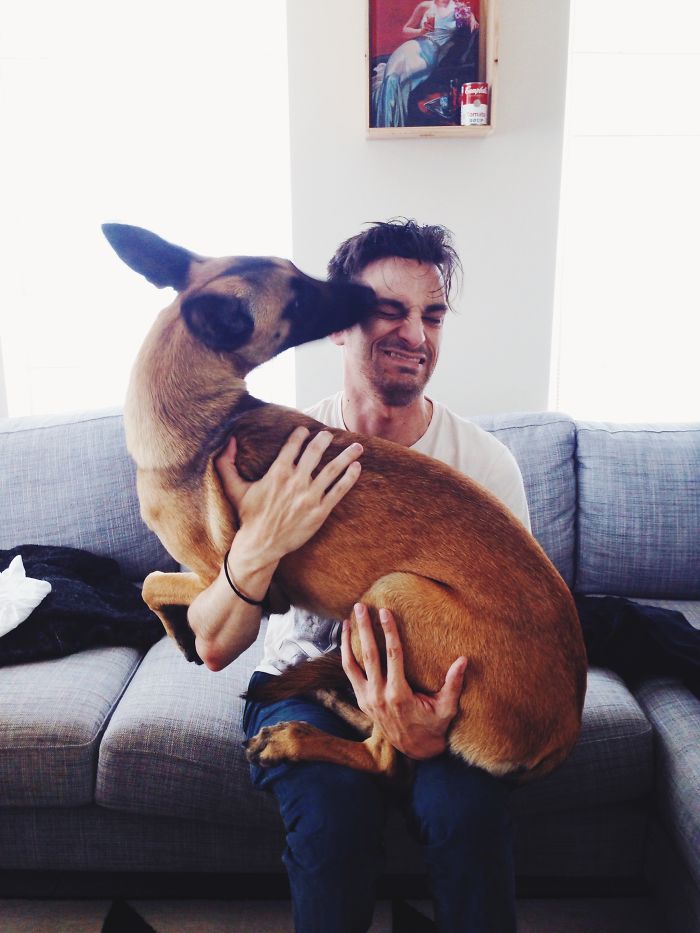 Фотографии собак которых забрали из приюта, собаки из приюта