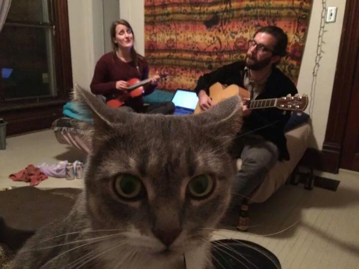 фотобомбы животные, животные умеют фотобомбить, фотобомбы от животных