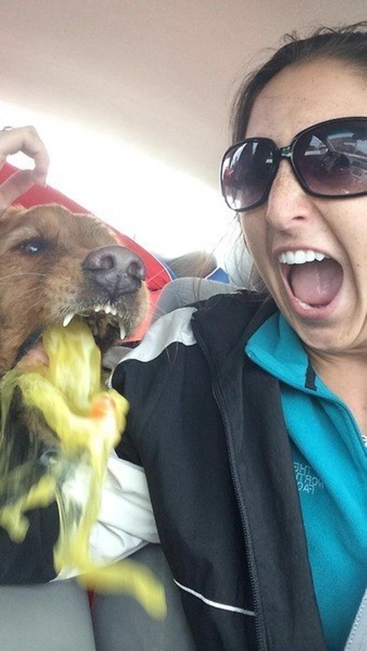 фотобомбы животные, животные умеют фотобомбить, фотобомбы от животных