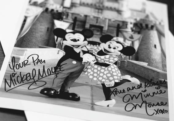 14 строгих и необычных правил, которым должны следовать все сотрудники Диснейленда необычные правила сотрудники Диснейленда, строгие правила для персонала Диснейленда, работники Диснейленда необычные правила