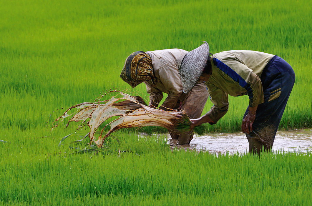  как выглядят рабочие места со всего света, фотопроект рабочие места
