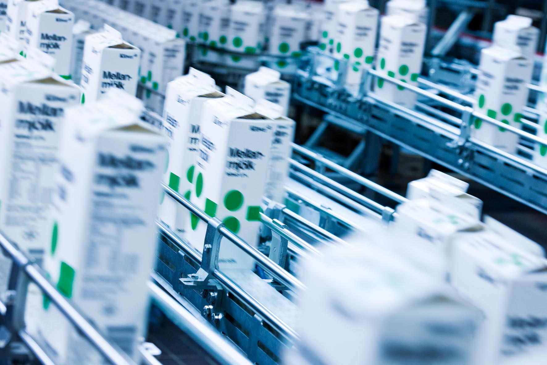 факты о молоке, всё что мы не знали о молоке