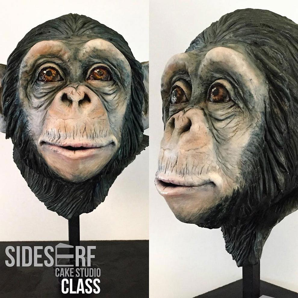 Натали Сайдсерф, Natalie Sideserf, реалистичные торты, торт в виде Майка Эрмантраута