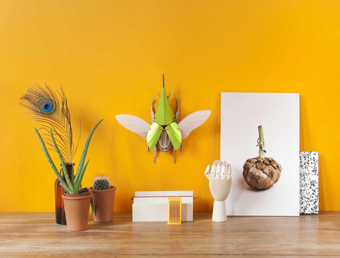 3D-пазлы из бумаги, жуки из бумаги, Джуп Боурс, Joop Bource