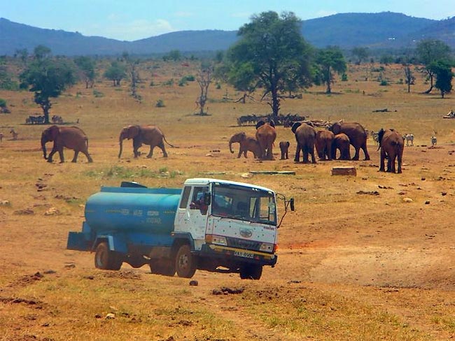 Каждый день этот мужчина проезжает сотню километров, чтобы напоить жаждущих животных Патрик Килонзо Мвалуа, Patrick Kilonzo Mwalua, привозит воду