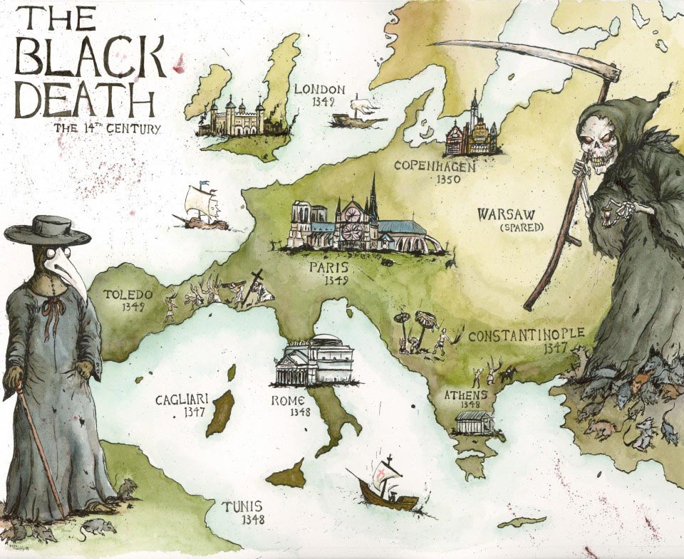 познавательные факты, факты обо всём 